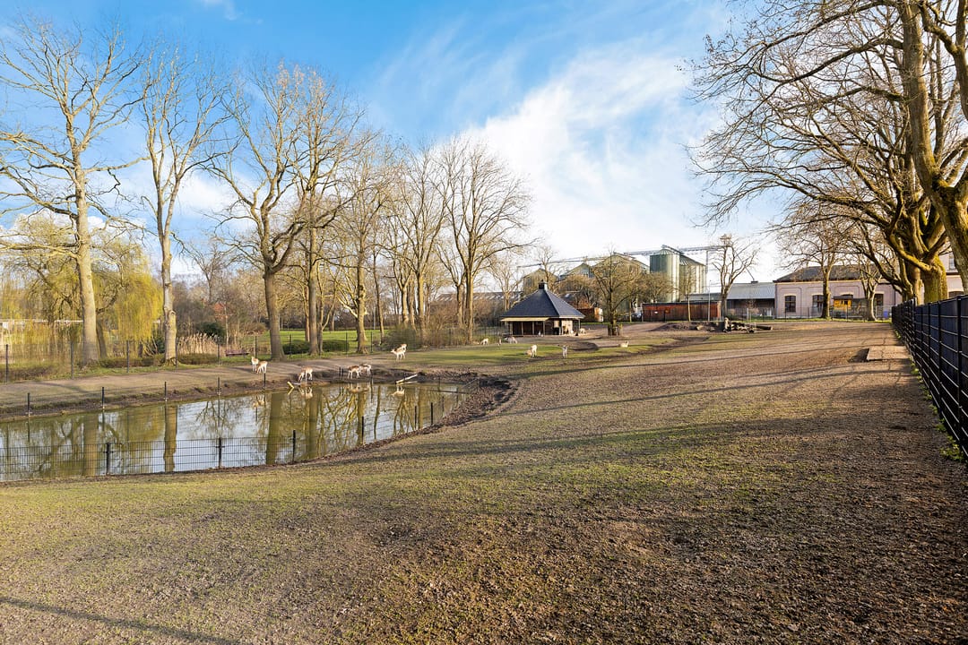 Foto 37 van Beatrixlaan 17