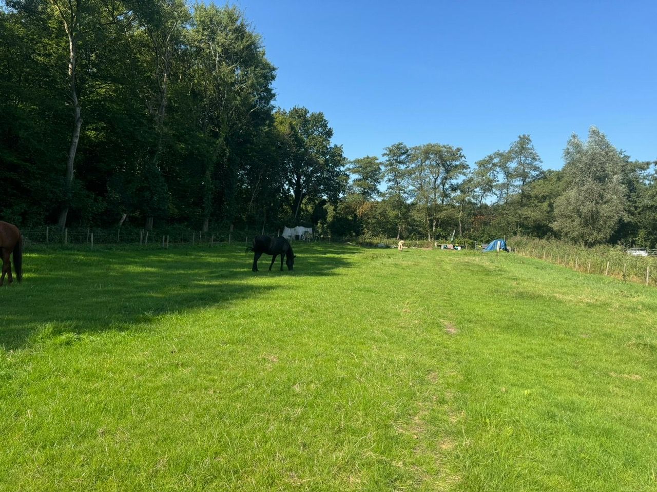 Bekijk foto 1 van Grond nabij Achter Capitten 2