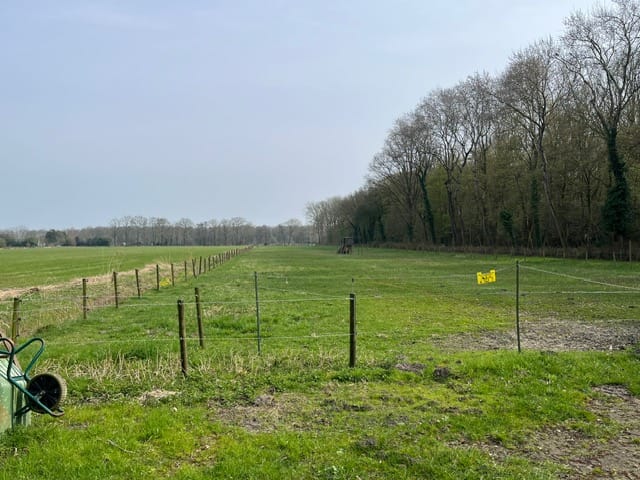 Bekijk foto 4 van Grond nabij Achter Capitten 2