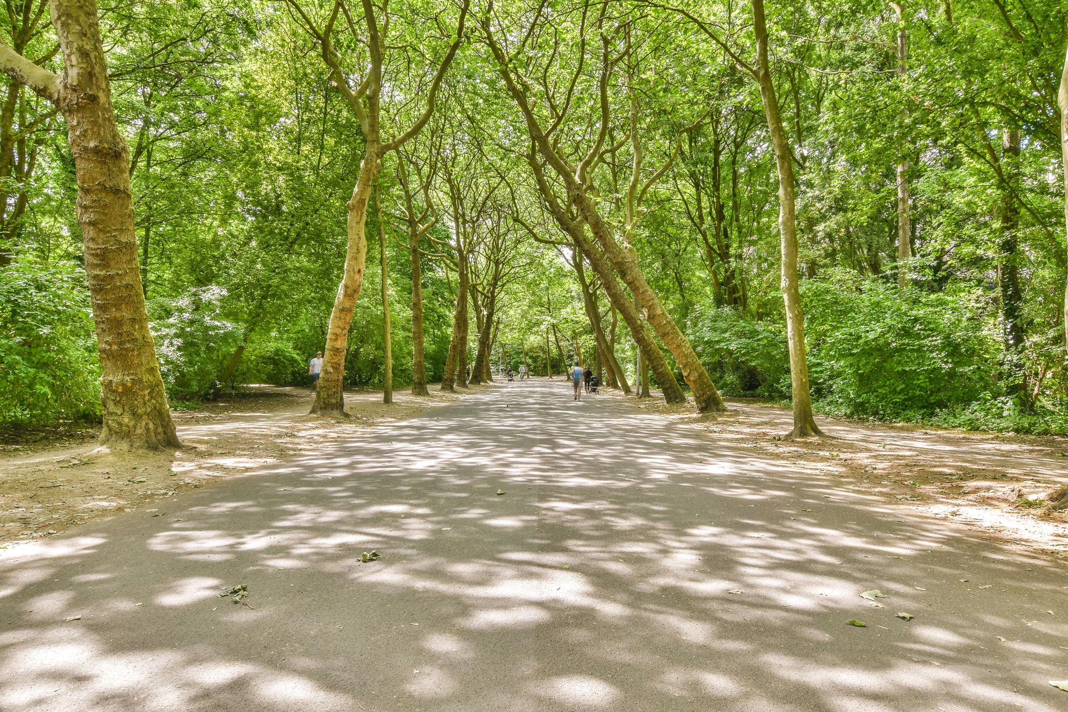 Foto 27 van Woestduinstraat 18-D