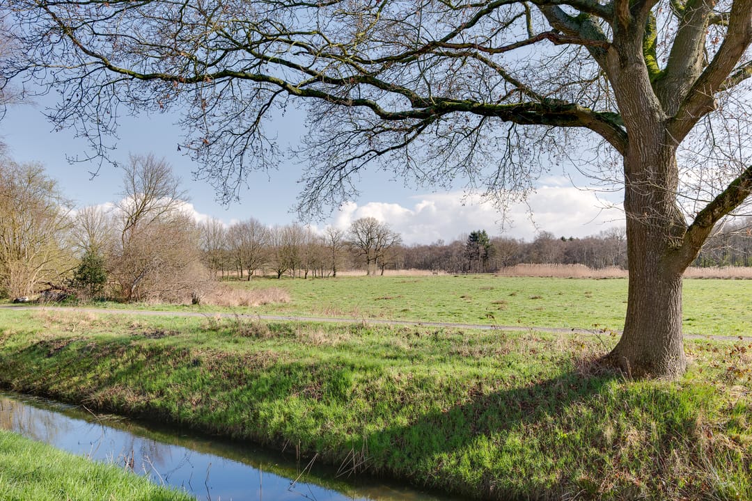 Foto 38 van Zandhamel 33