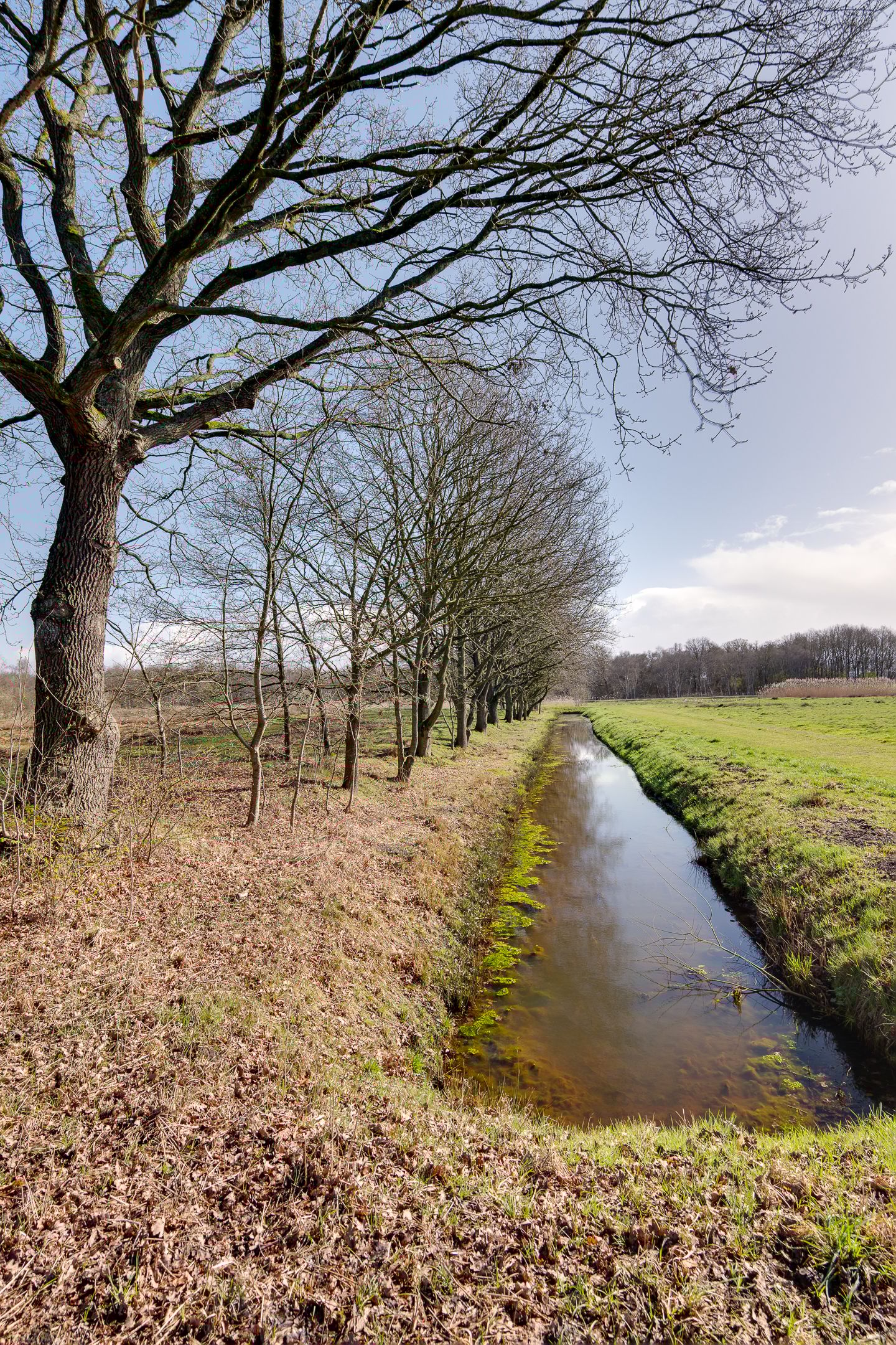 Foto 40 van Zandhamel 33