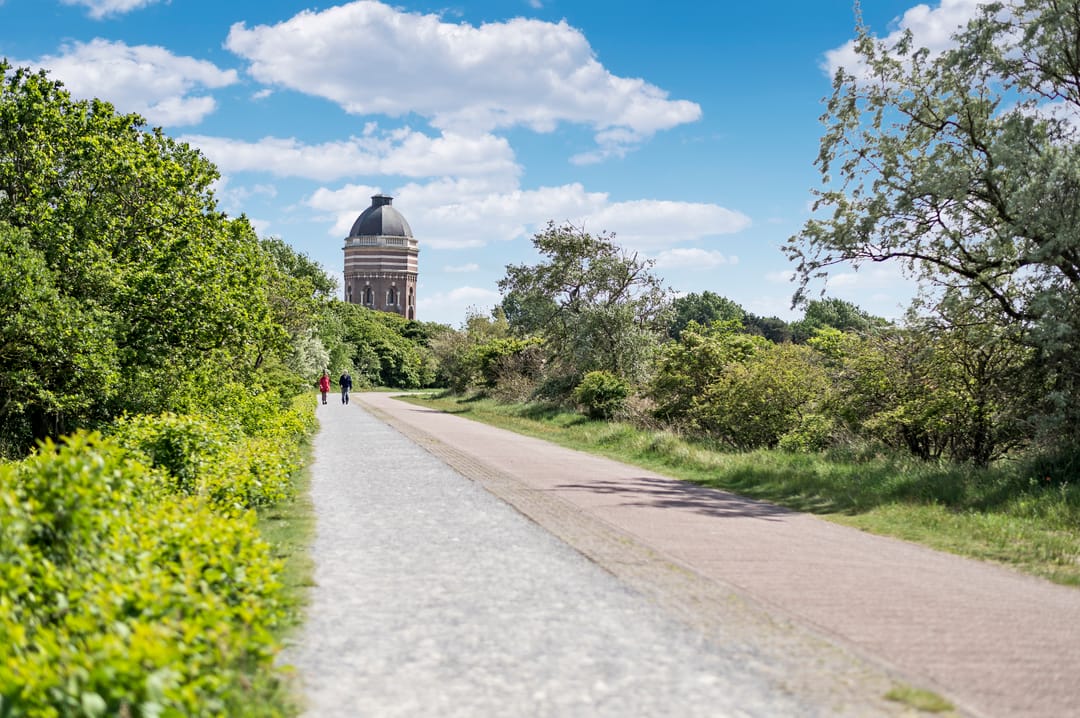 Foto 52 van Zwolsestraat 219