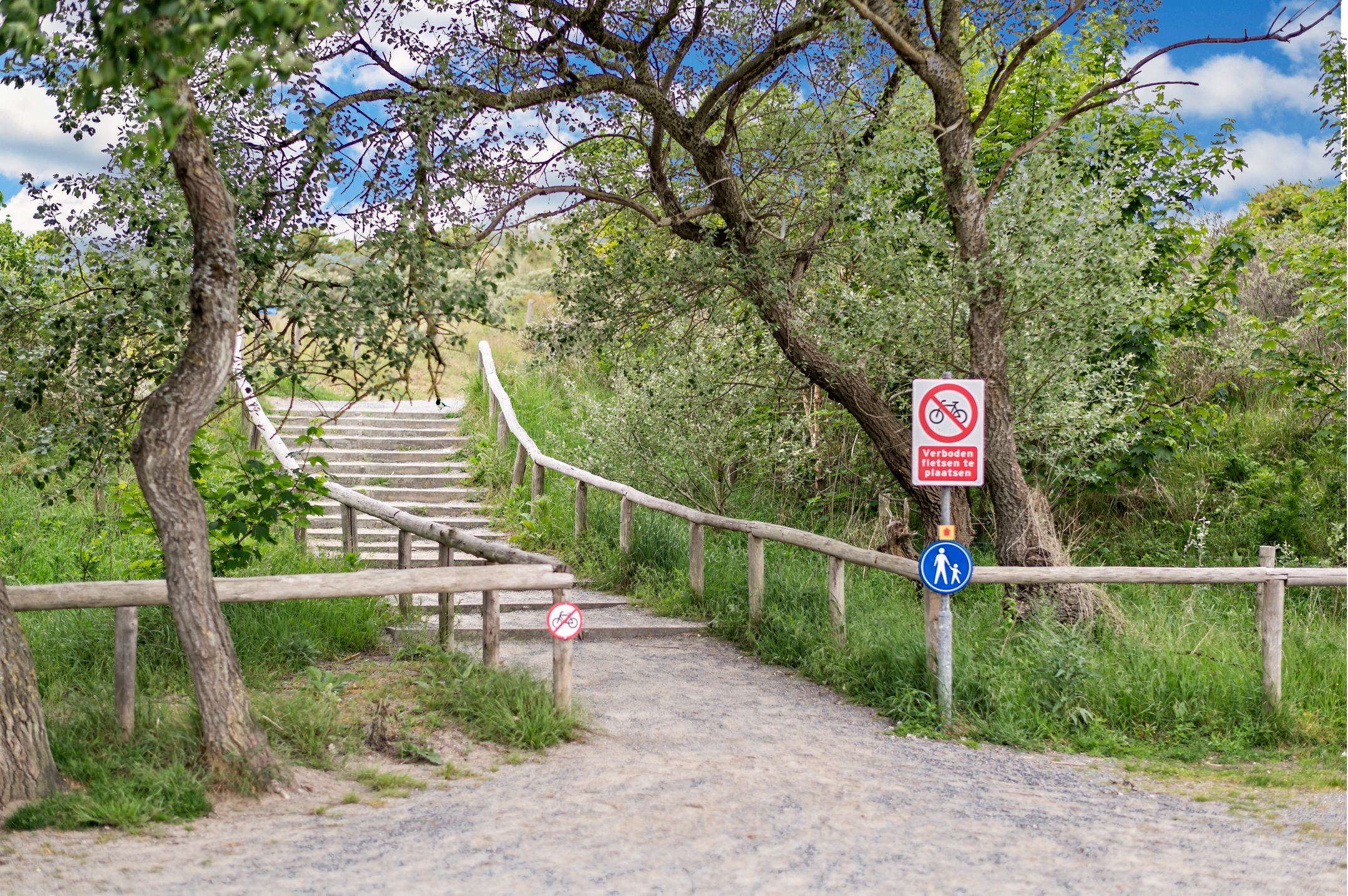 Foto 54 van Zwolsestraat 219