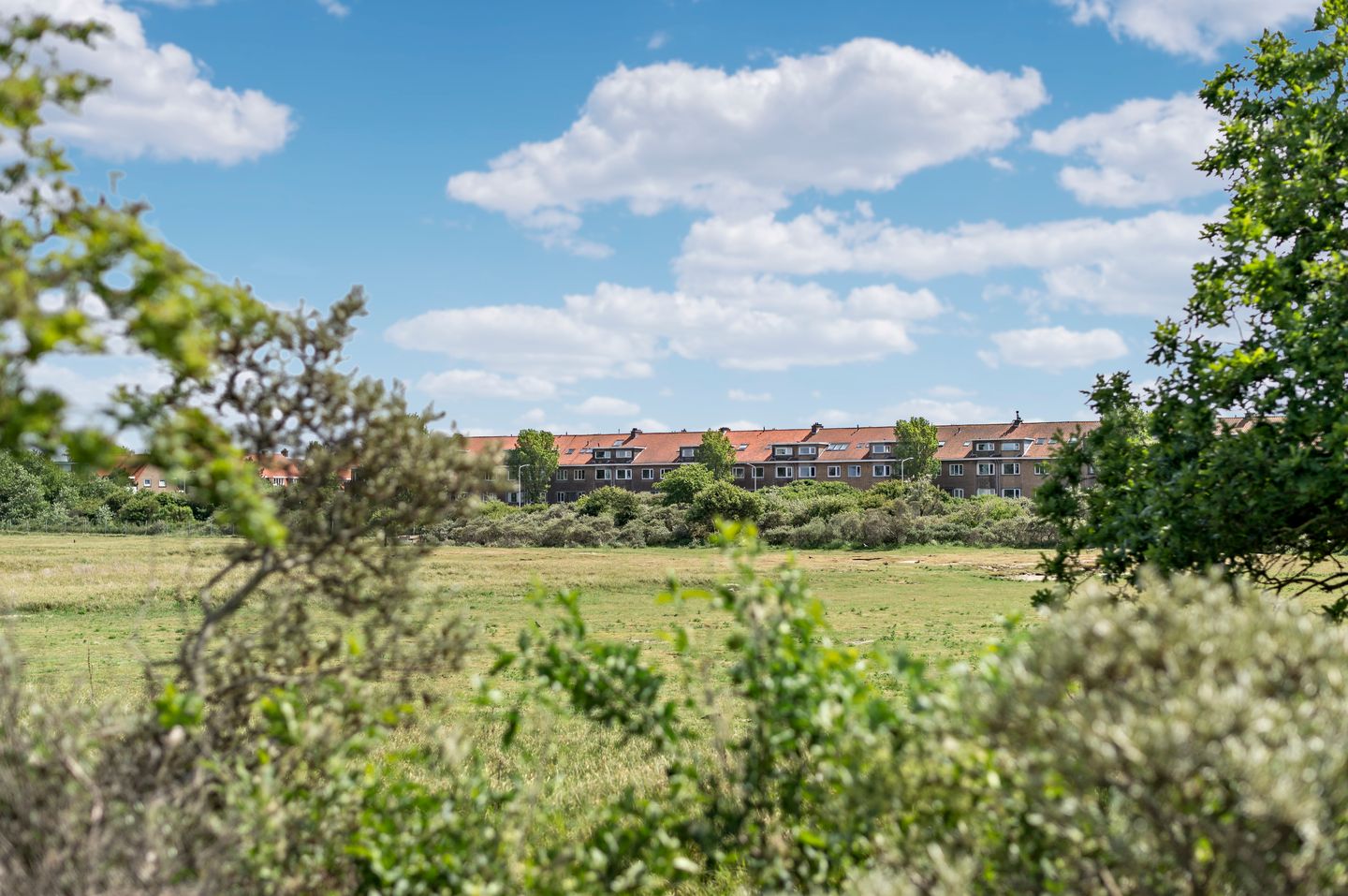 Foto 55 van Zwolsestraat 219