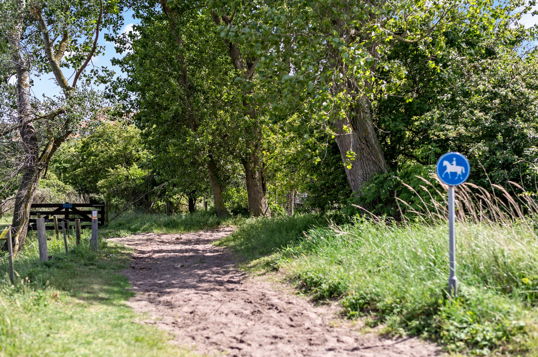 Foto 51 van Zwolsestraat 219