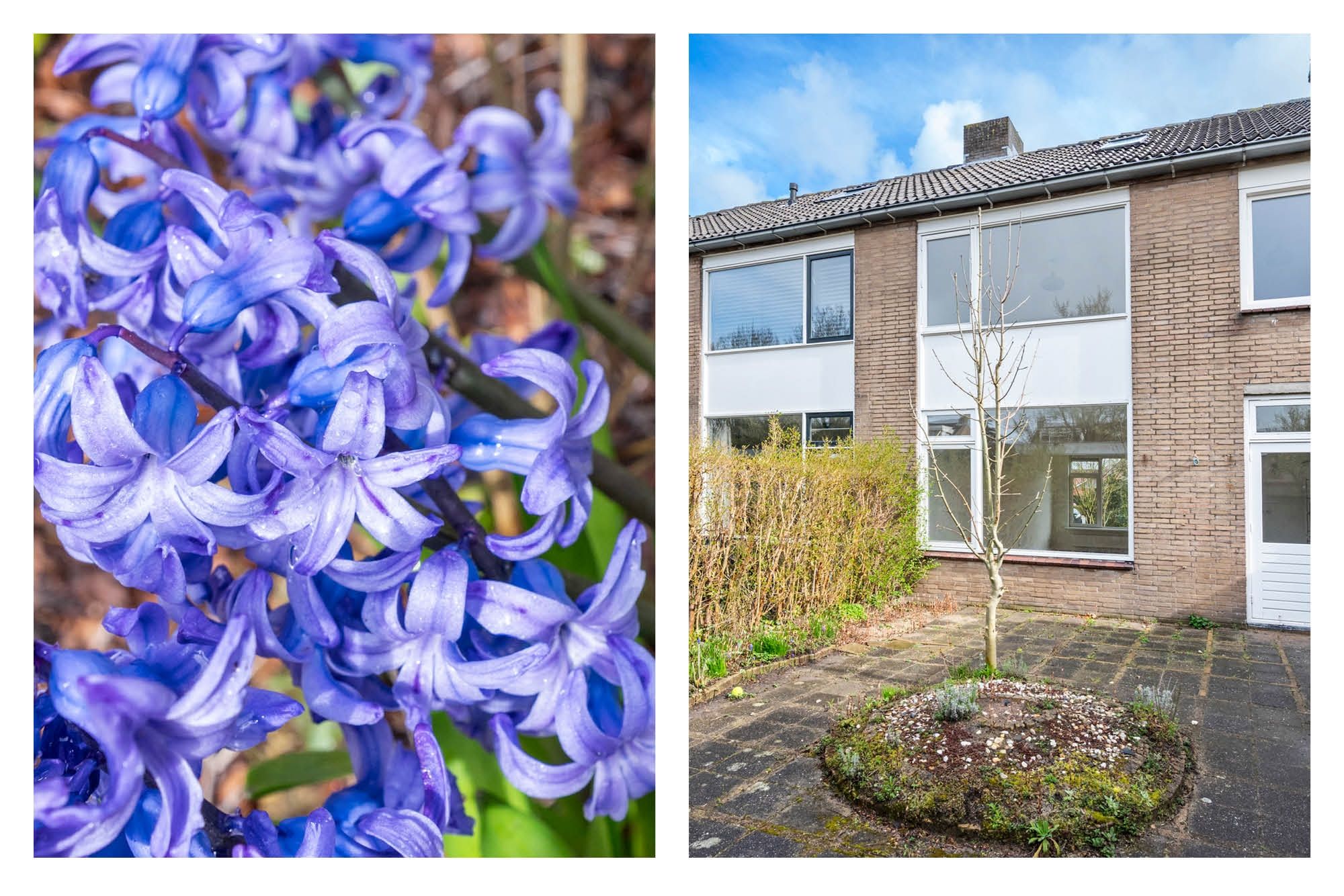 Modern family home with 5 bedrooms and sunny garden in Nieuw-Vennep West — 24