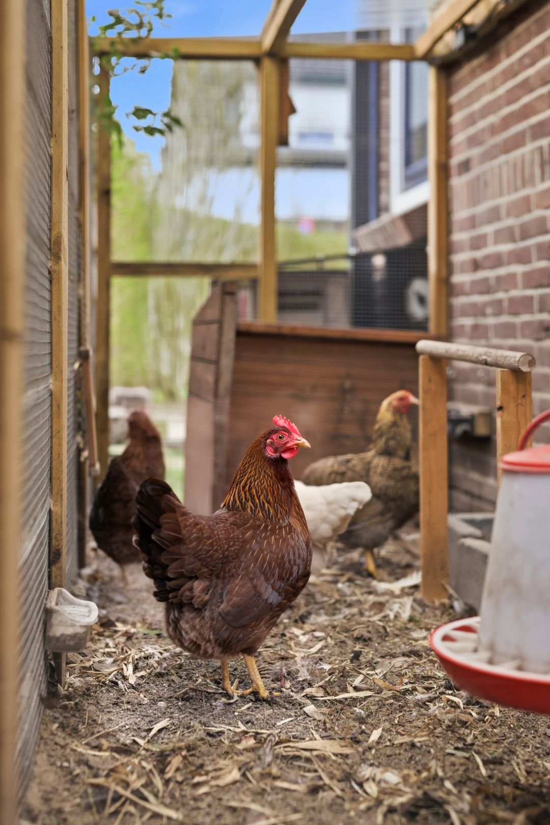 Foto 38 van Groenendaalseweg 53