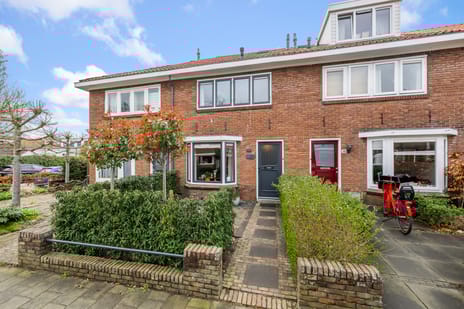 undefined main image