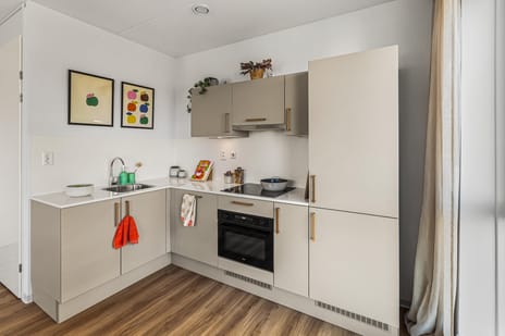 The Orchard I main image