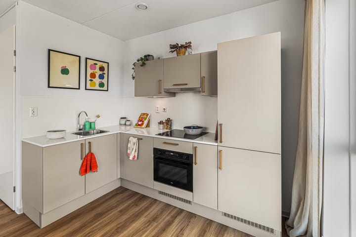 Photo 4 of Steenvoordelaan 402-F231