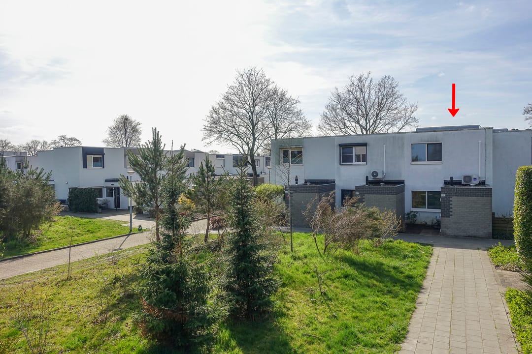 Foto 2 van Bijland 816