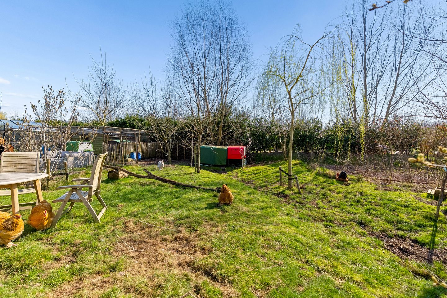 Build Your Dream Home on a Spacious Plot in Almere Oosterwold — 22