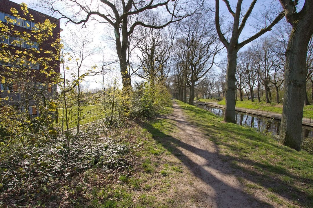 Photo 7 of Mantingerbrink 162