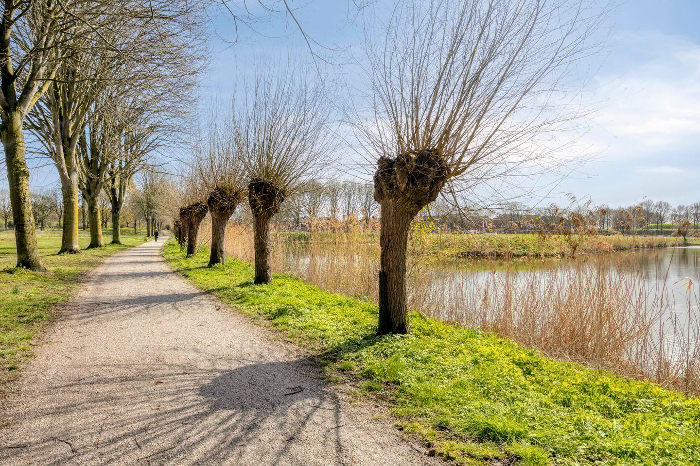 Foto 44 van van den Poelstraat 35