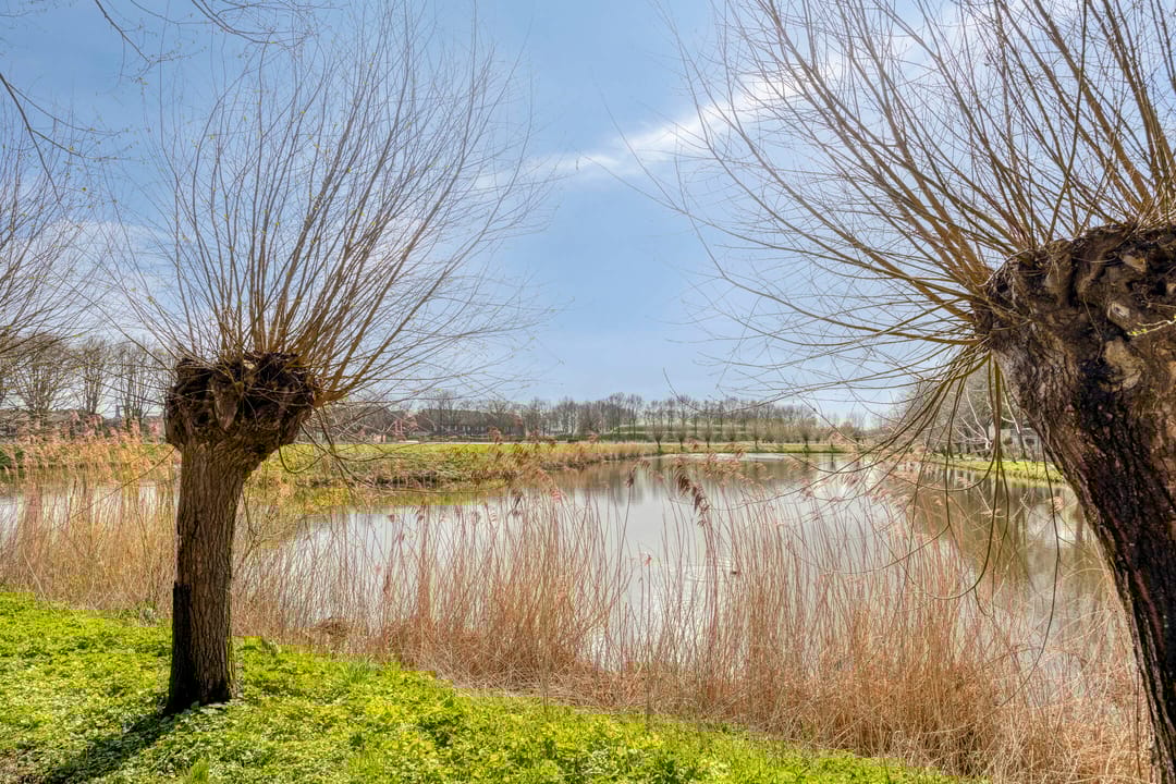 Foto 43 van van den Poelstraat 35