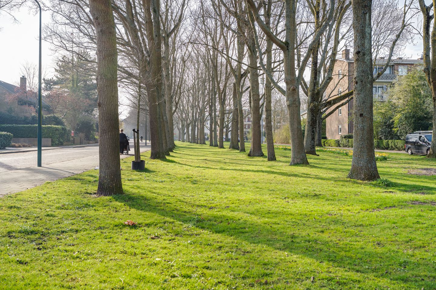 Photo 65 of Hofdijck 58