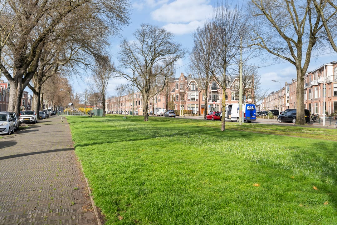 Renovation Opportunity in Popular Geuzenkwartier — 16