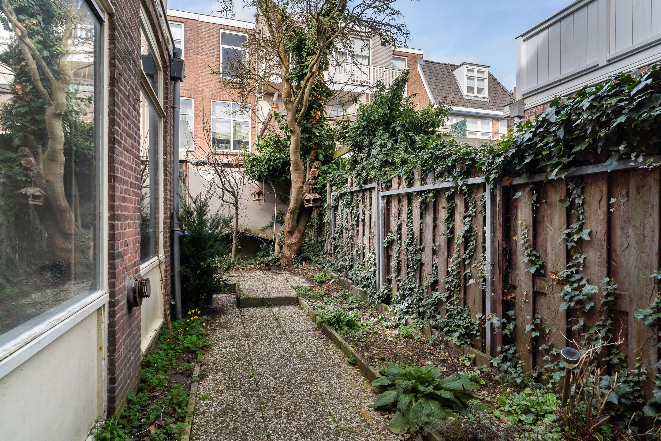 Renovation Opportunity in Popular Geuzenkwartier — 12