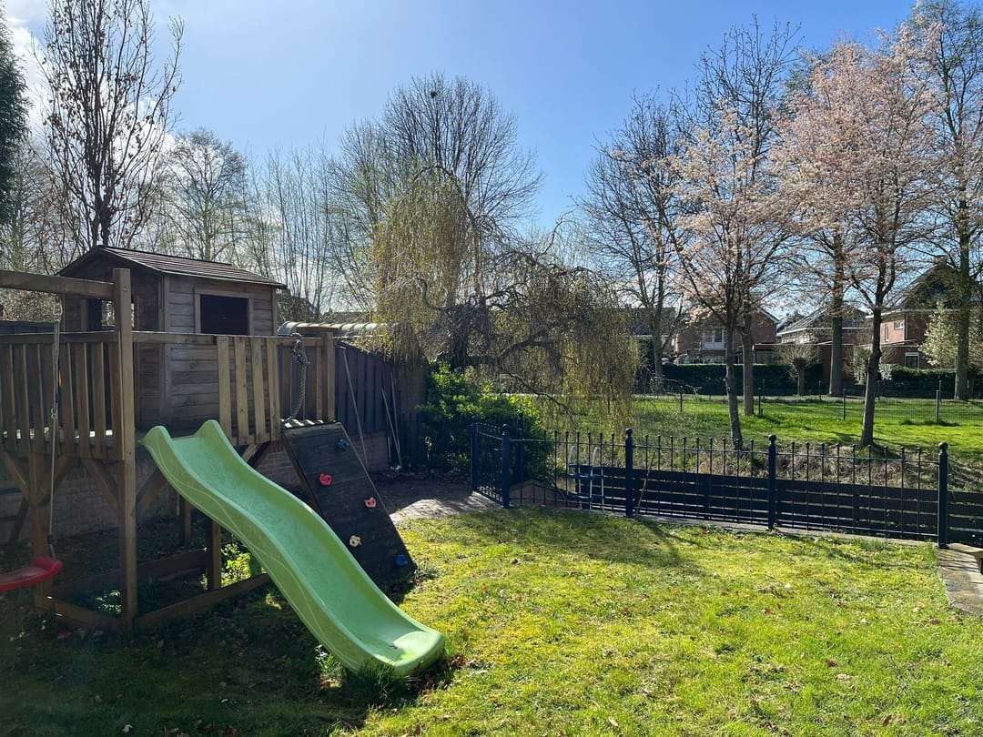 Foto 8 van Maïsveld 5