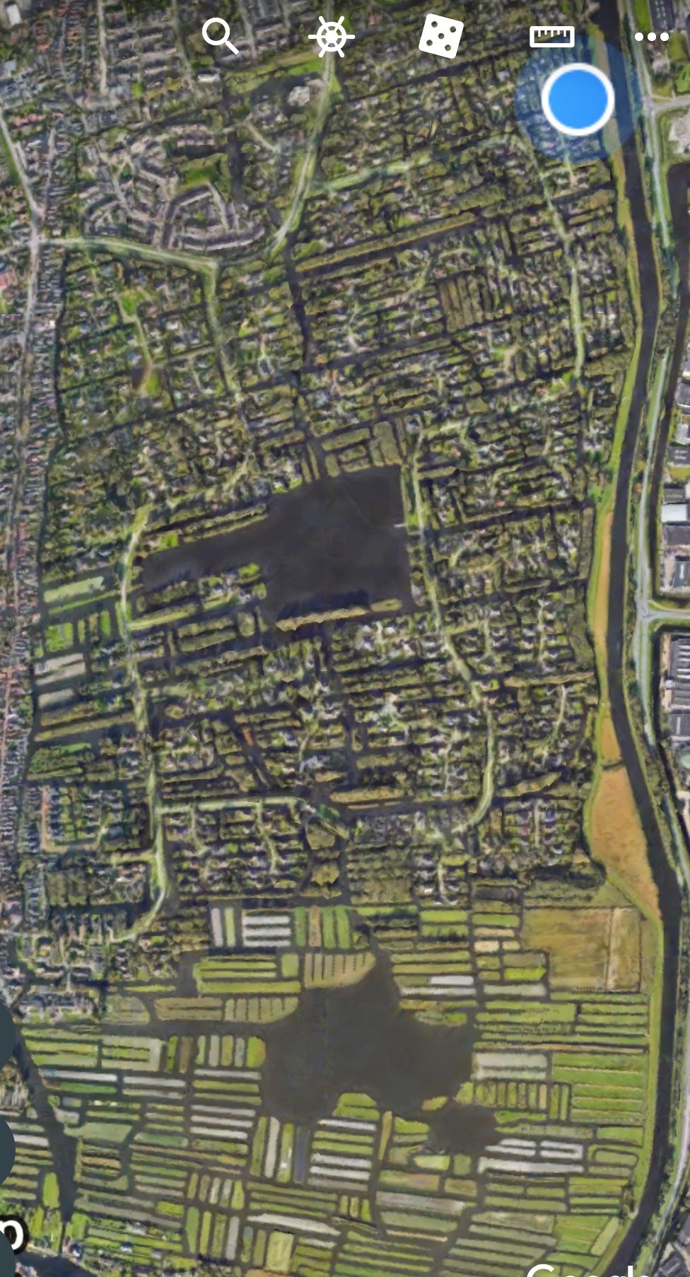 Foto 6 van Lijster 10