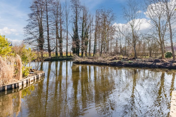 Lijster 10 main image