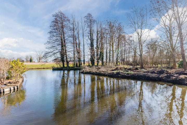 Photo 2 of Lijster 10