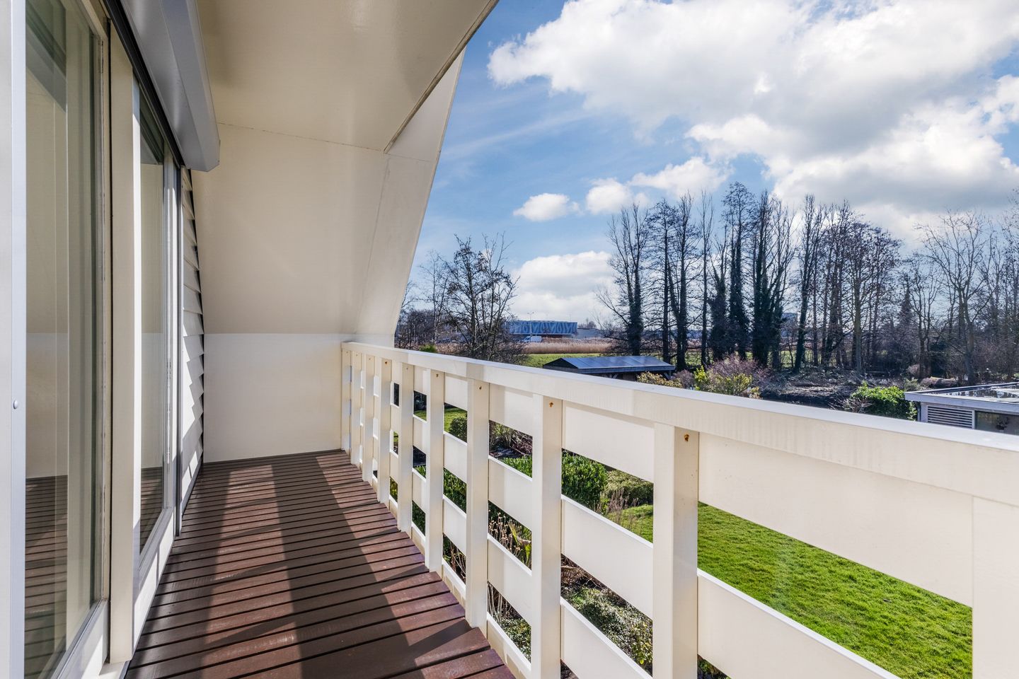 Foto 14 van Lijster 10