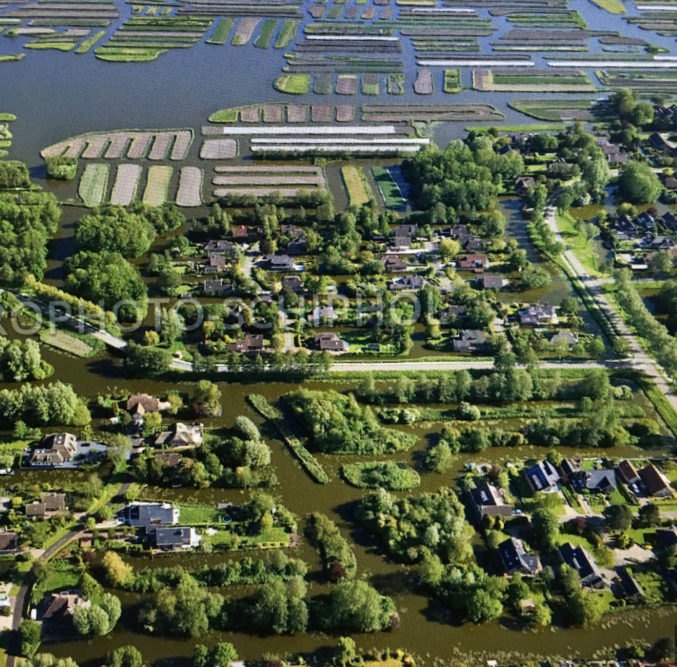 Foto 72 van Lijster 10