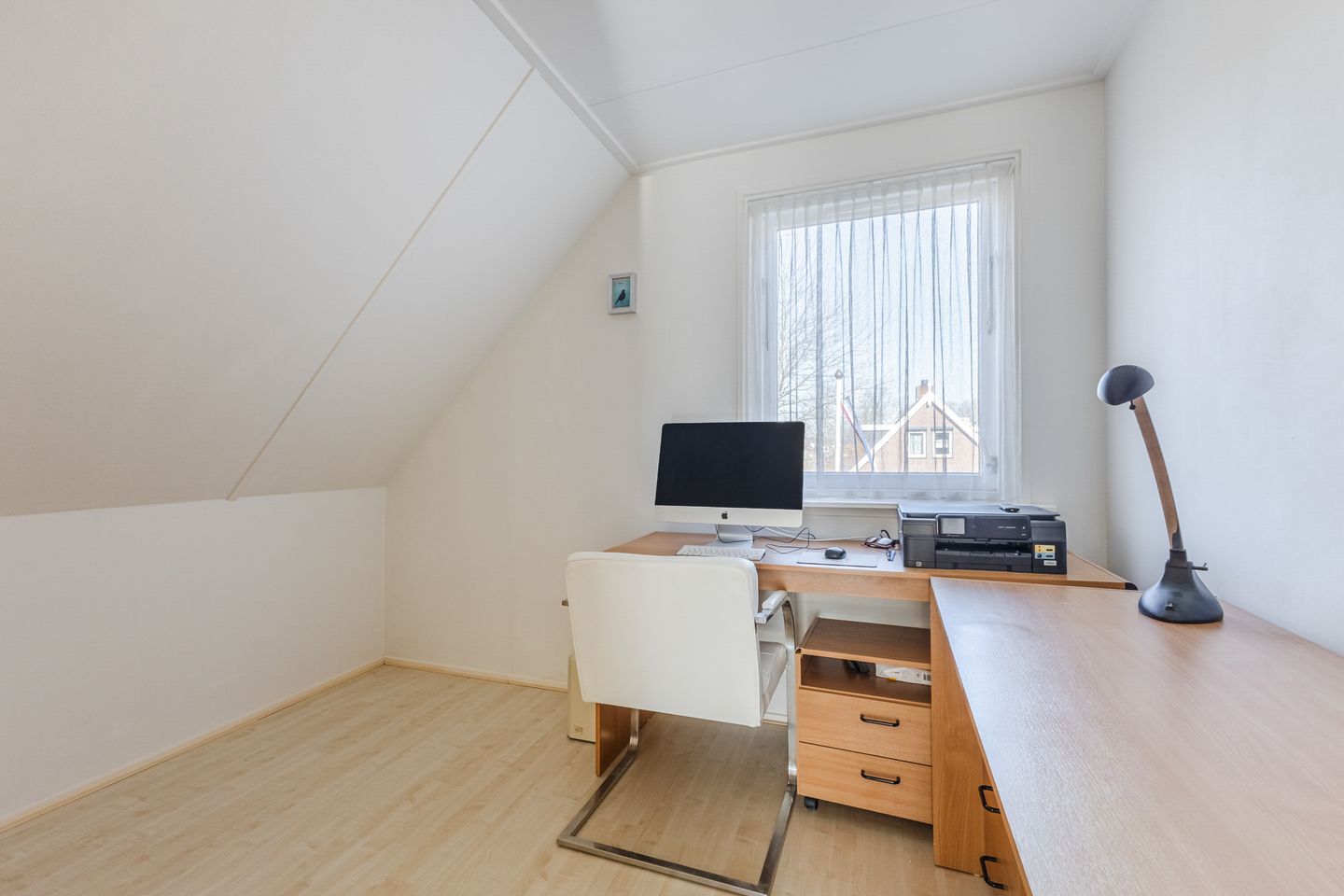 Foto 40 van Lijster 10