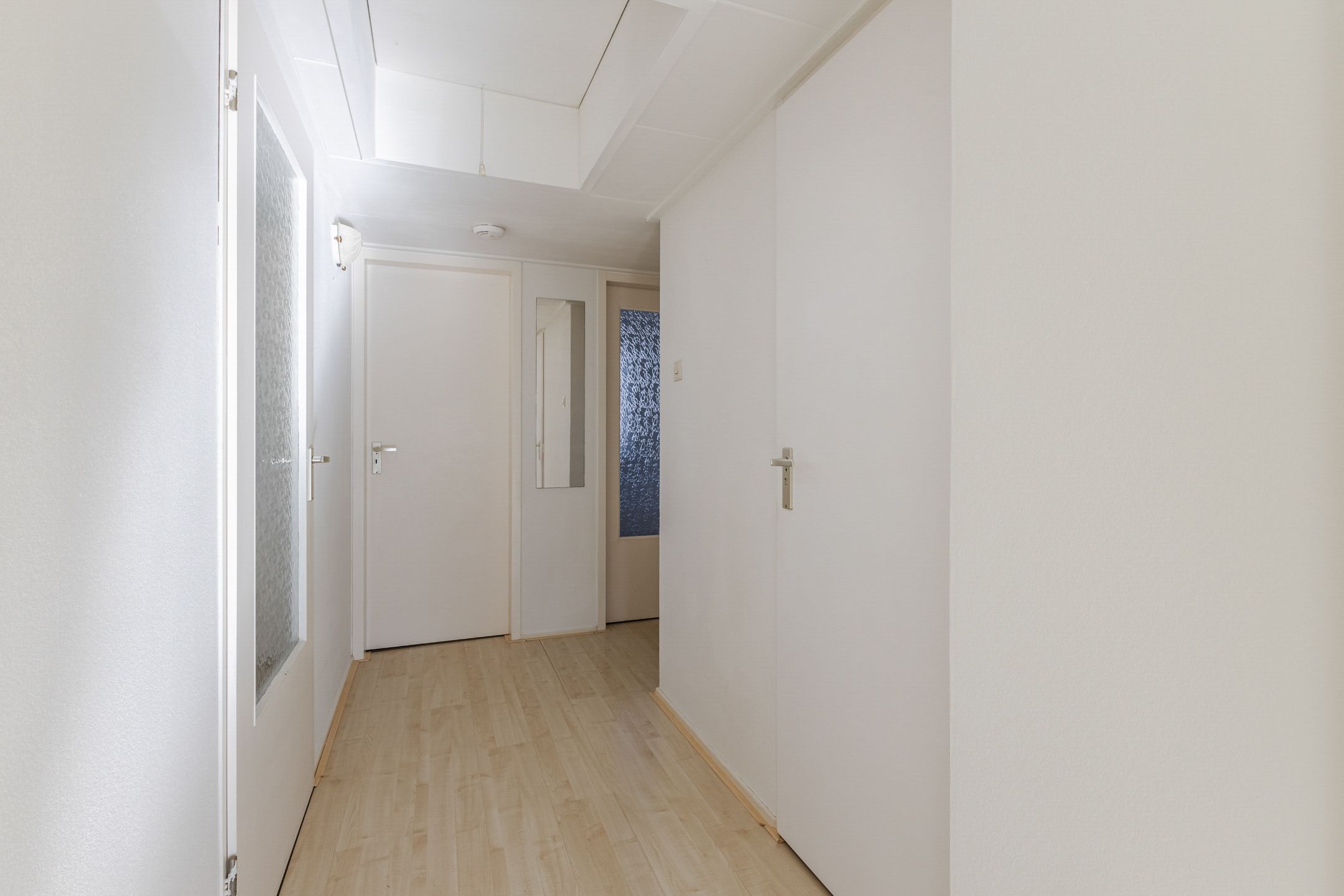 Foto 51 van Lijster 10