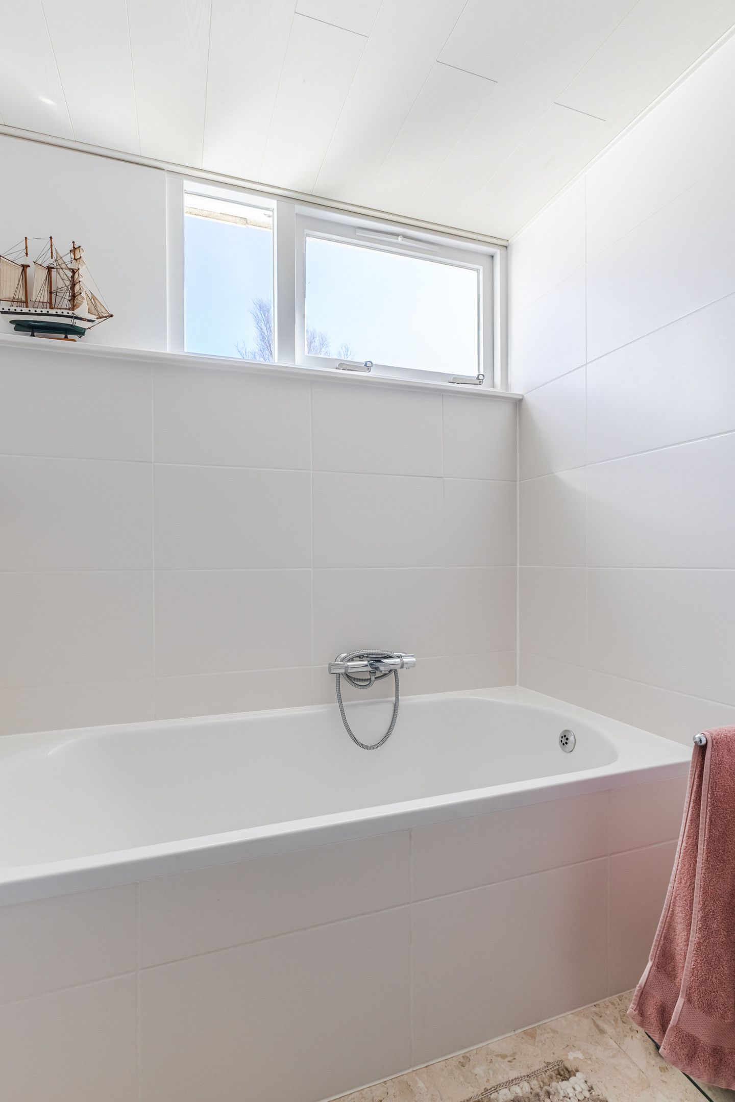 Foto 55 van Lijster 10