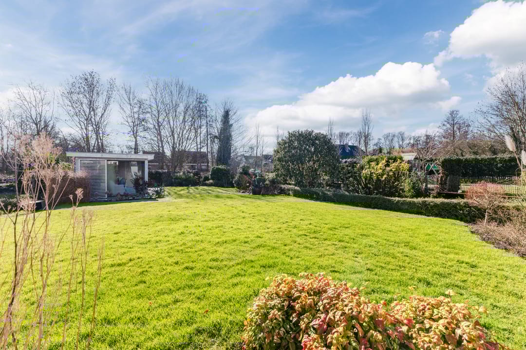 Foto 62 van Lijster 10