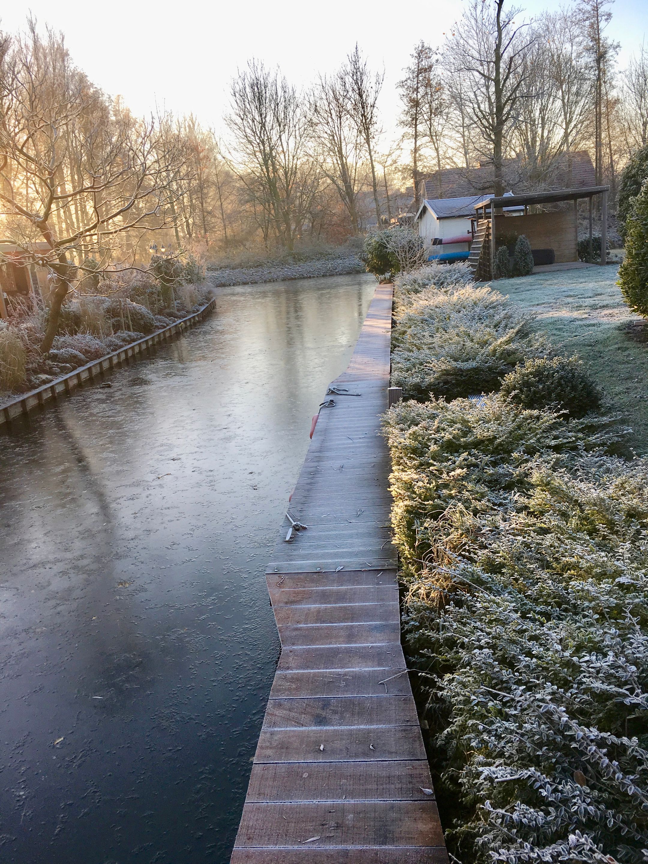 Foto 69 van Lijster 10