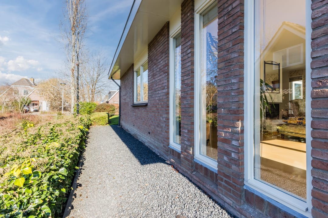 Foto 71 van Lijster 10