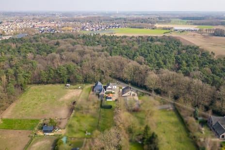 Roskam 6 tertiary image