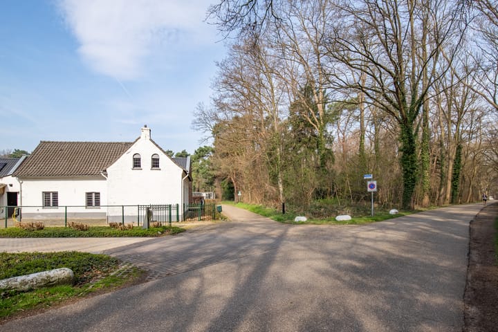 Foto 4 van Roskam 6
