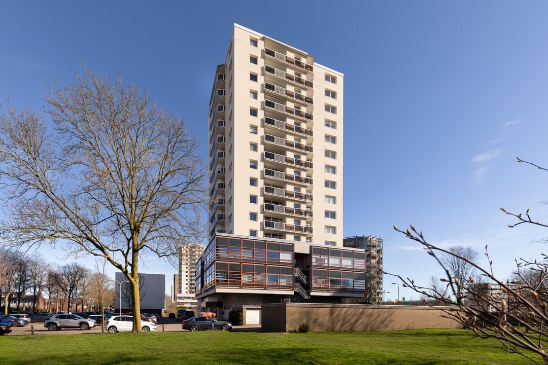 Spacious corner apartment with panoramic views on the 10th floor — 24