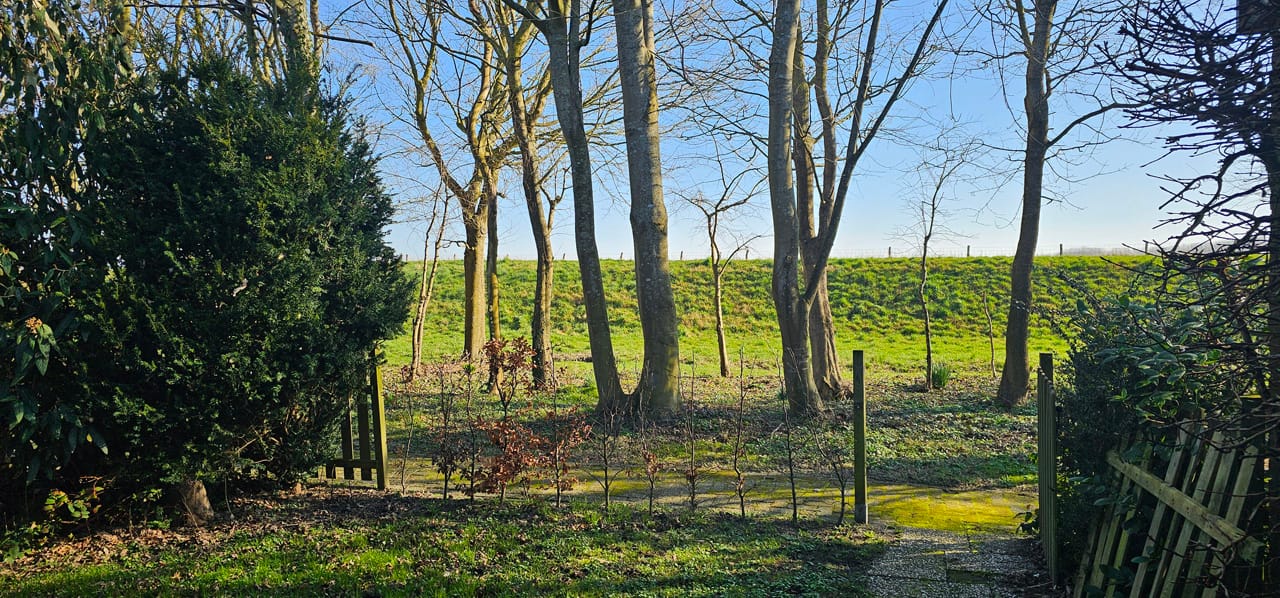 Photo 24 of Rekerlanden 27