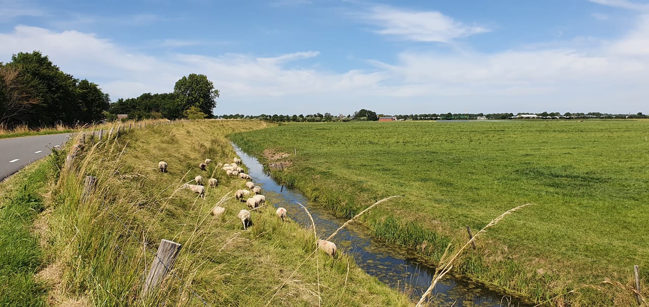 Photo 39 of Rekerlanden 27