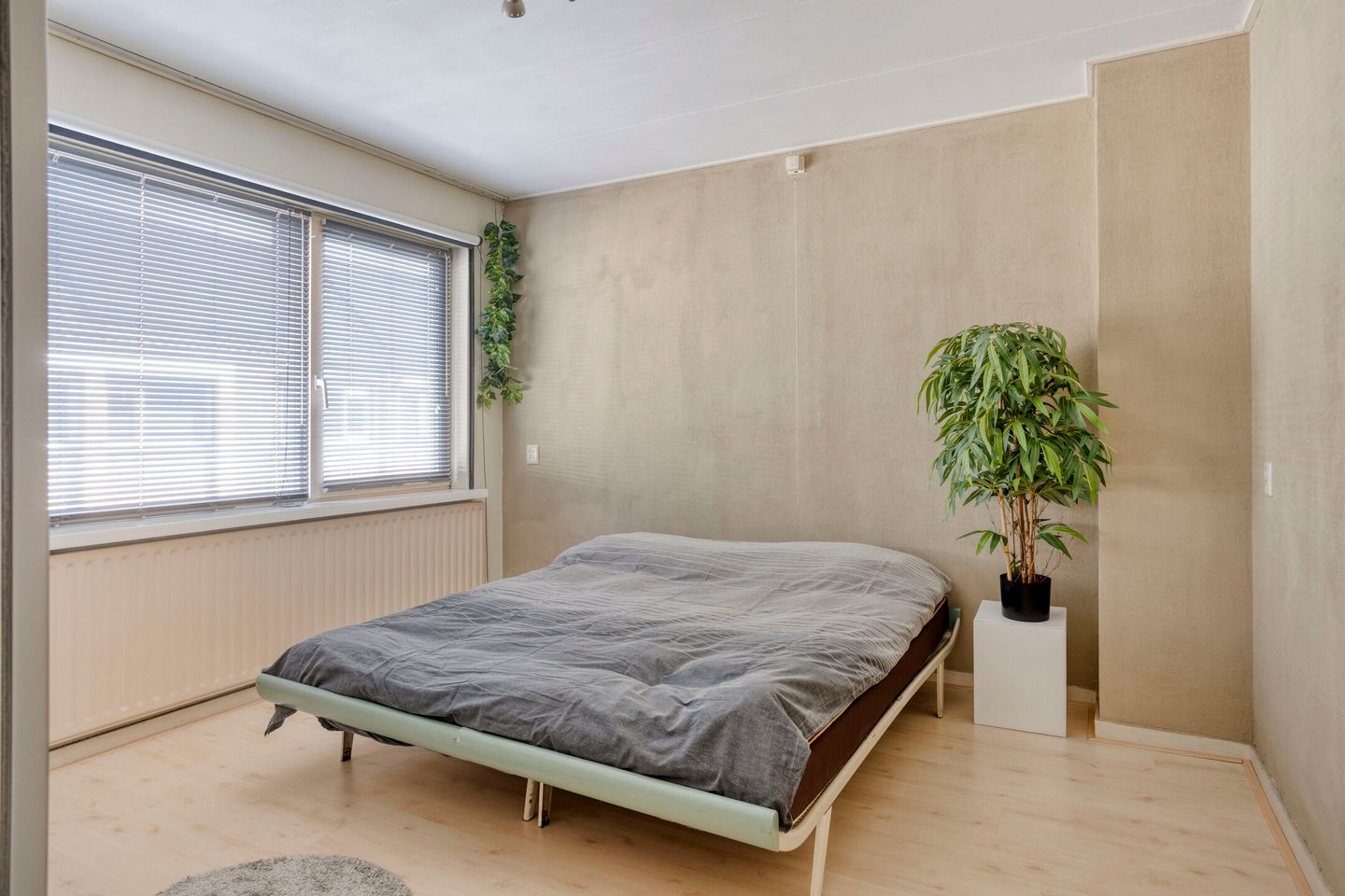 Photo 19 of Torenstraat 45