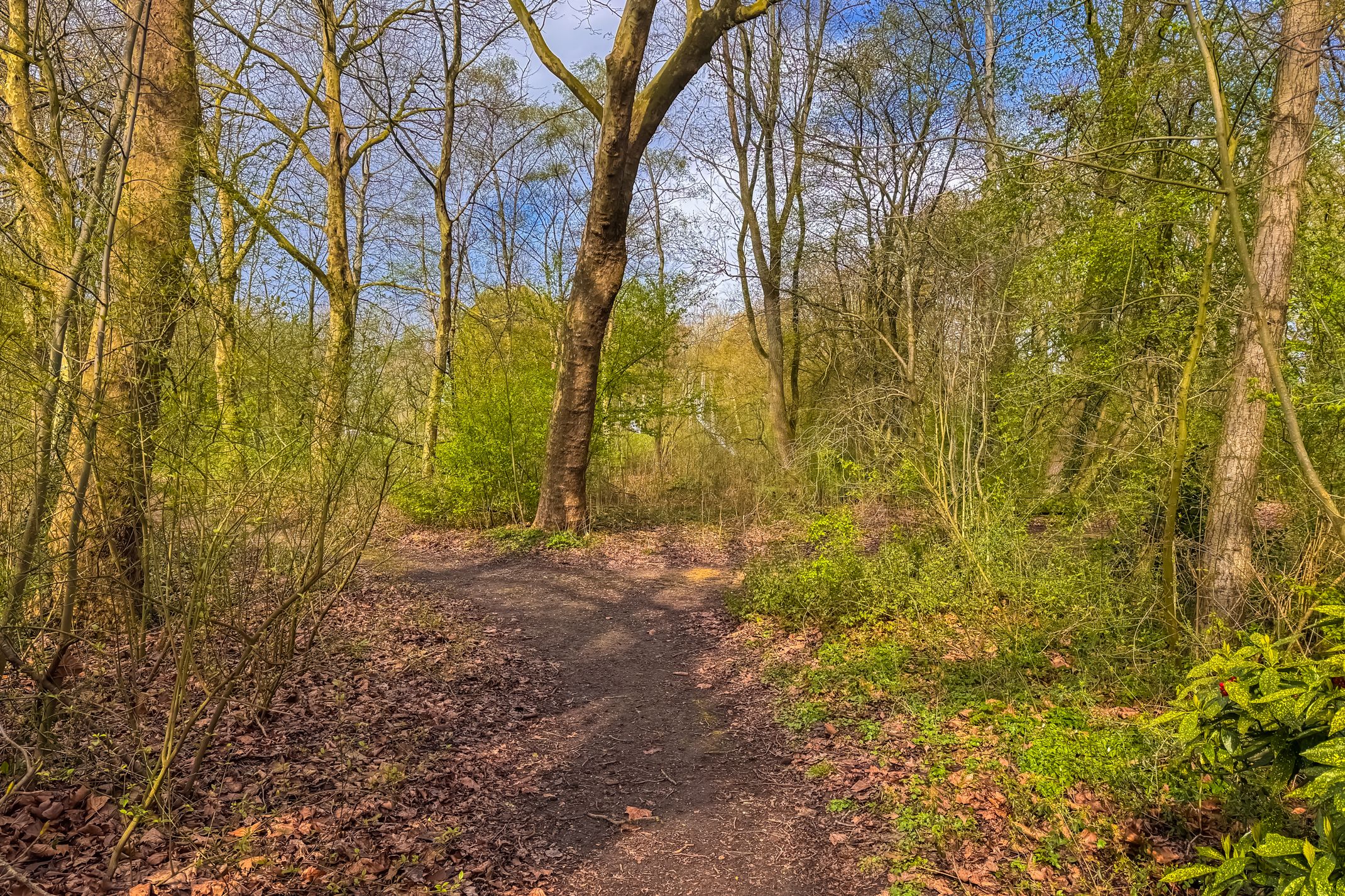 Foto 48 van Boomstede 304