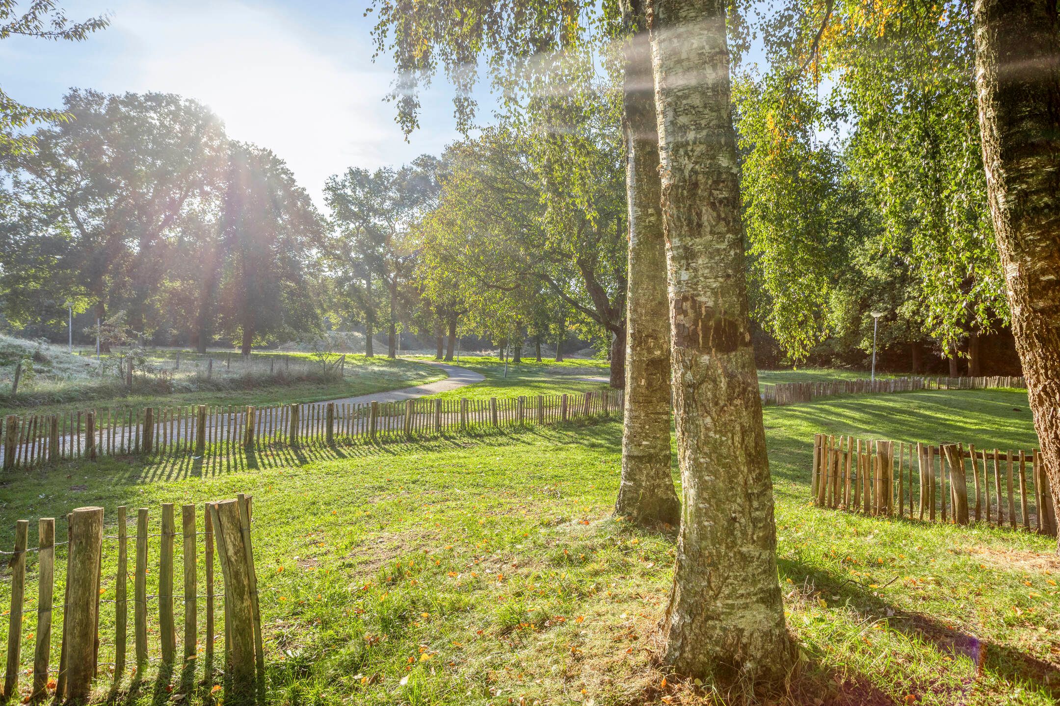 Foto 33 van Kardinaalsmuts 55