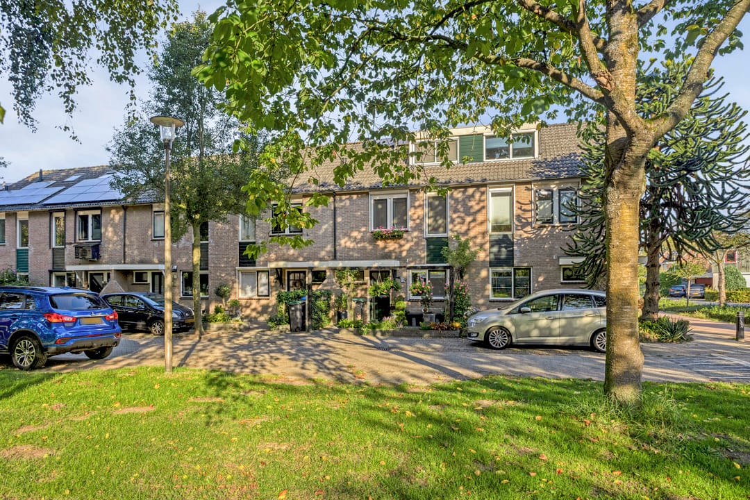 Foto 31 van Kardinaalsmuts 55