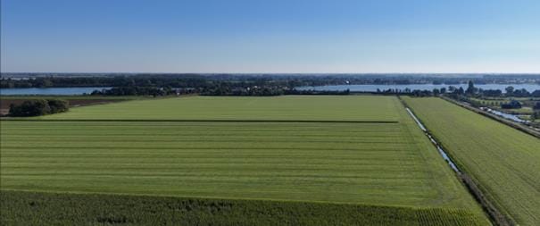 Bekijk foto 4 van Vriezenweg