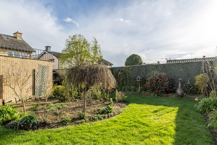 Photo 2 of Zwarte Graaf 5