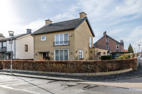 Zwarte Graaf thumbnail