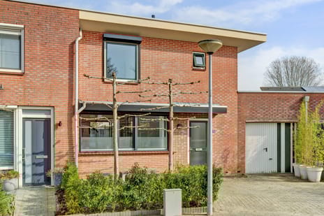 Goudreinet 10 tertiary image