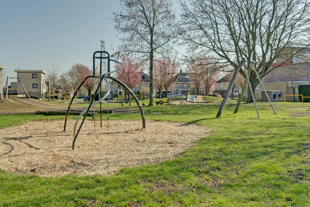 Photo 41 of Goudreinet 10