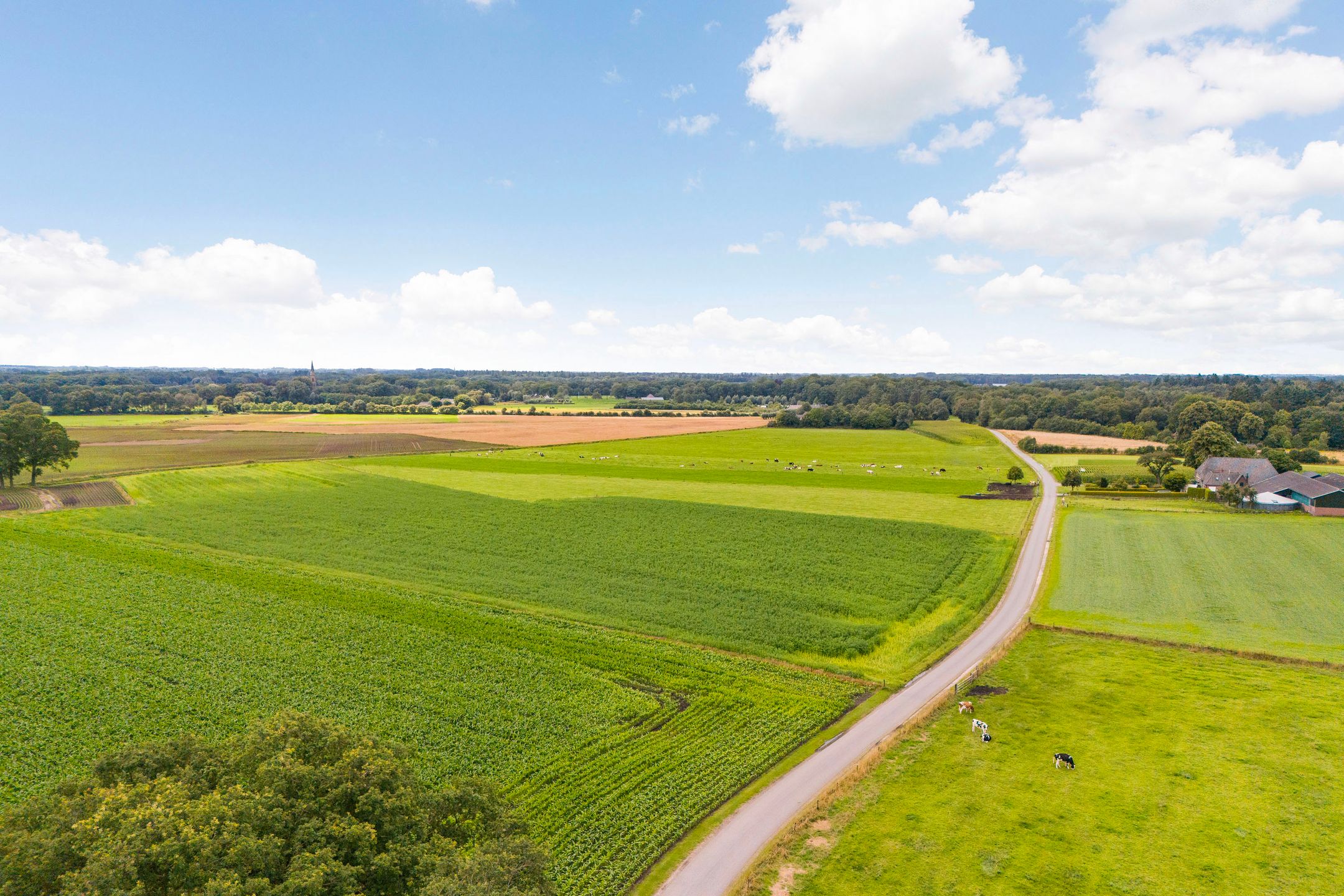 Foto 63 van Mosselseweg 12